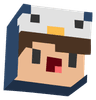 Cedoor